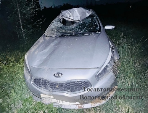 Под Череповцом в ДТП с лосем пострадал водитель автомобиля