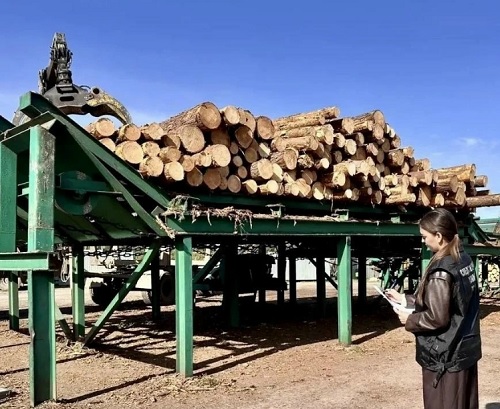 В Великоустюгском округе на пилораме погиб мужчина В Великоустюгском округе на пилораме погиб мужчина