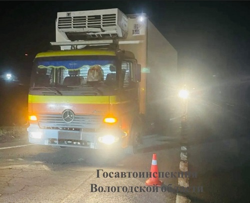 На трассе в Сокольском округе в ДТП погиб пешеход
