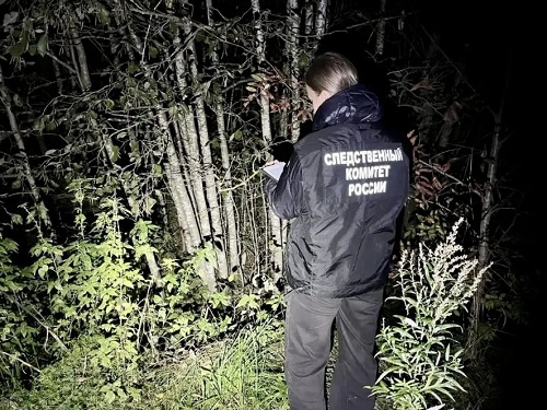 В Усть-Кубинском округе охотник погиб в результате нападения медведя